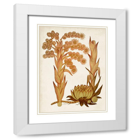 Muted Botanicals II White Modern Wood Framed Art Print with Double Matting by Curtis