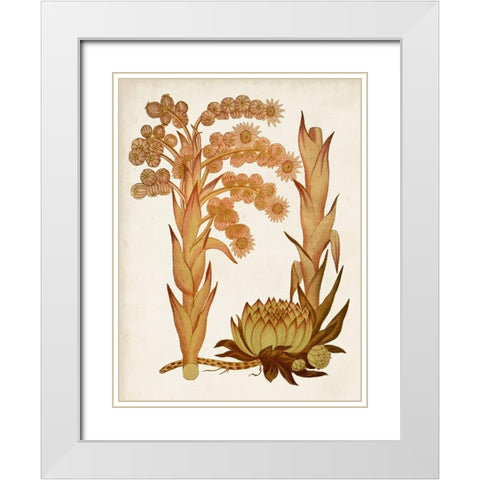 Muted Botanicals II White Modern Wood Framed Art Print with Double Matting by Curtis