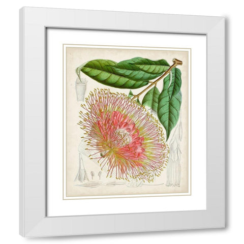 Delicate Tropicals IV White Modern Wood Framed Art Print with Double Matting by Curtis