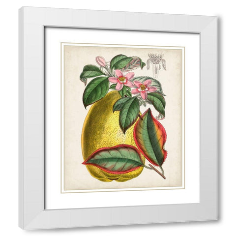 Delicate Tropicals V White Modern Wood Framed Art Print with Double Matting by Curtis