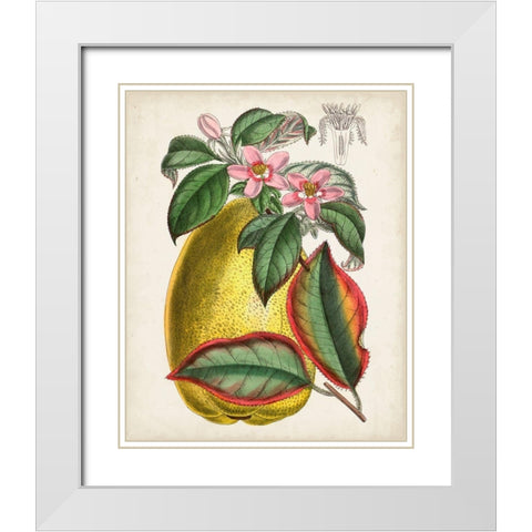 Delicate Tropicals V White Modern Wood Framed Art Print with Double Matting by Curtis