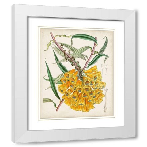Delicate Tropicals VI White Modern Wood Framed Art Print with Double Matting by Curtis
