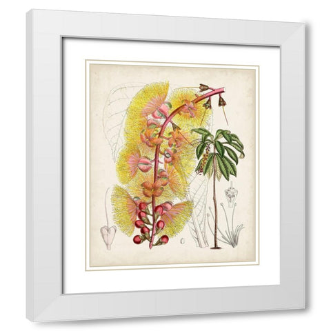 Delicate Tropicals VII White Modern Wood Framed Art Print with Double Matting by Curtis