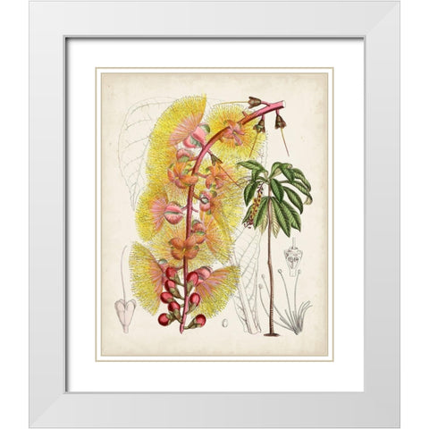 Delicate Tropicals VII White Modern Wood Framed Art Print with Double Matting by Curtis
