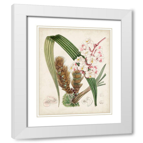 Delicate Tropicals VIII White Modern Wood Framed Art Print with Double Matting by Curtis