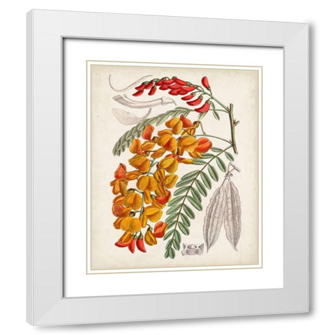 Delicate Tropicals IX White Modern Wood Framed Art Print with Double Matting by Curtis