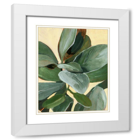 Plant Study I White Modern Wood Framed Art Print with Double Matting by Warren, Annie
