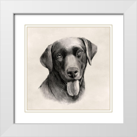 Charcoal Labrador I White Modern Wood Framed Art Print with Double Matting by Popp, Grace