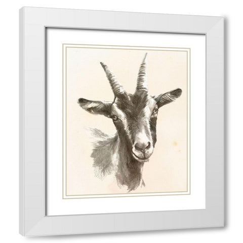 Sketched Farm Portraits II White Modern Wood Framed Art Print with Double Matting by Parker, Jennifer Paxton