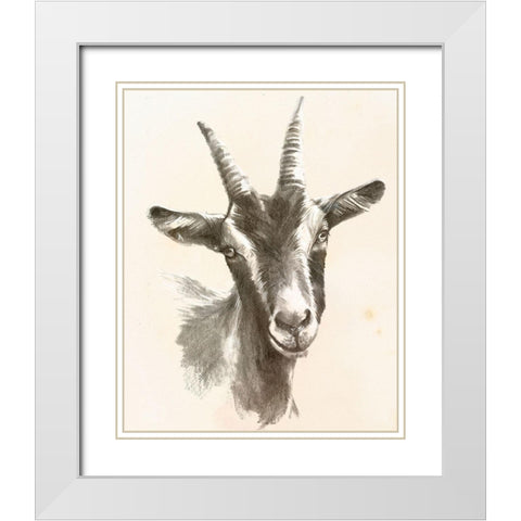 Sketched Farm Portraits II White Modern Wood Framed Art Print with Double Matting by Parker, Jennifer Paxton