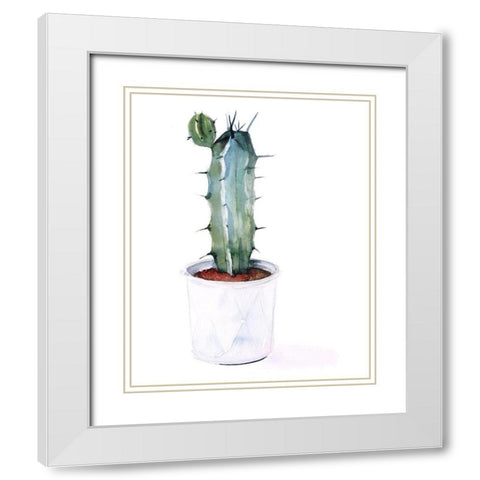 Sharp Succulents I White Modern Wood Framed Art Print with Double Matting by Parker, Jennifer Paxton