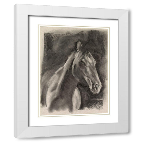 Charcoal Horse Study on Grey I White Modern Wood Framed Art Print with Double Matting by Parker, Jennifer Paxton