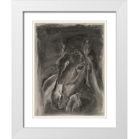 Charcoal Horse Study on Grey II White Modern Wood Framed Art Print with Double Matting by Parker, Jennifer Paxton