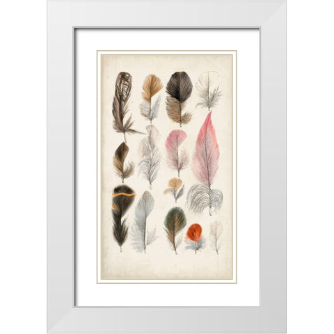 Antique Bird Feathers III White Modern Wood Framed Art Print with Double Matting by Unknown