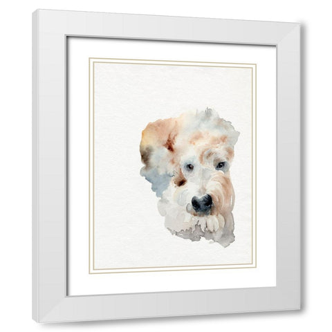 Scruffy Puppy I White Modern Wood Framed Art Print with Double Matting by Parker, Jennifer Paxton