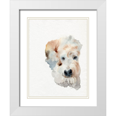 Scruffy Puppy I White Modern Wood Framed Art Print with Double Matting by Parker, Jennifer Paxton