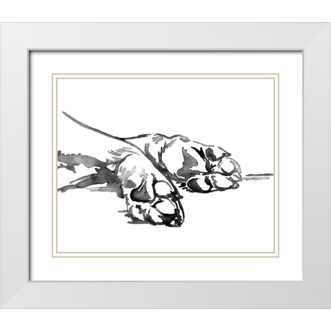 Linear Paws I White Modern Wood Framed Art Print with Double Matting by Parker, Jennifer Paxton