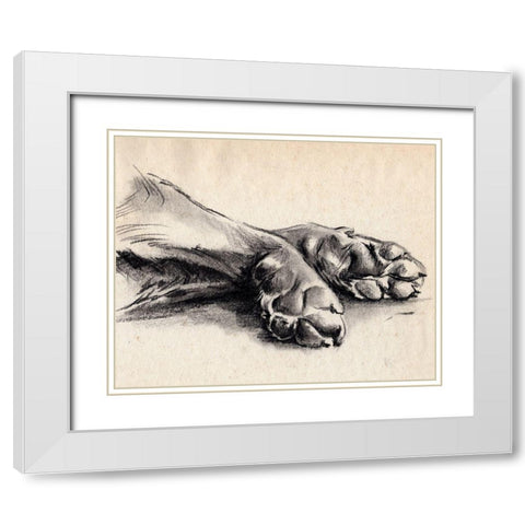 Charcoal Paws II White Modern Wood Framed Art Print with Double Matting by Parker, Jennifer Paxton
