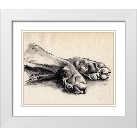 Charcoal Paws II White Modern Wood Framed Art Print with Double Matting by Parker, Jennifer Paxton