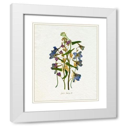 Pressed June Arrangement I White Modern Wood Framed Art Print with Double Matting by Caroline, Emma