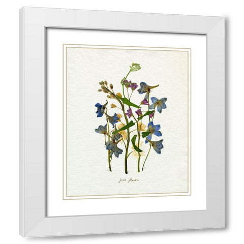 Pressed June Arrangement II White Modern Wood Framed Art Print with Double Matting by Caroline, Emma