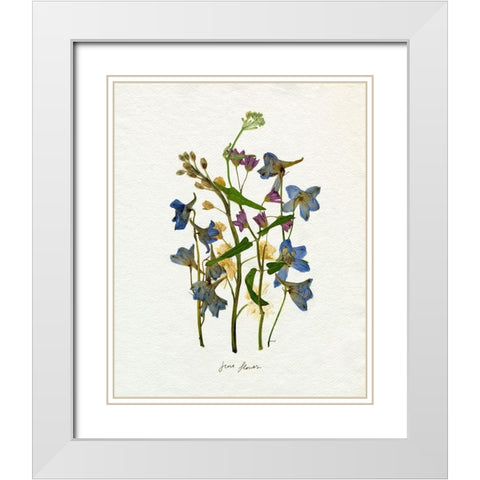 Pressed June Arrangement II White Modern Wood Framed Art Print with Double Matting by Caroline, Emma