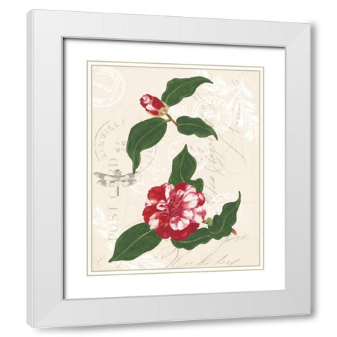 Diannes Camelias I White Modern Wood Framed Art Print with Double Matting by Miller, Dianne
