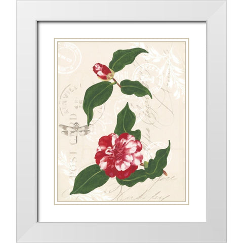 Diannes Camelias I White Modern Wood Framed Art Print with Double Matting by Miller, Dianne