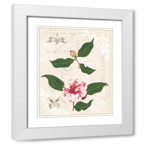Diannes Camelias III White Modern Wood Framed Art Print with Double Matting by Miller, Dianne