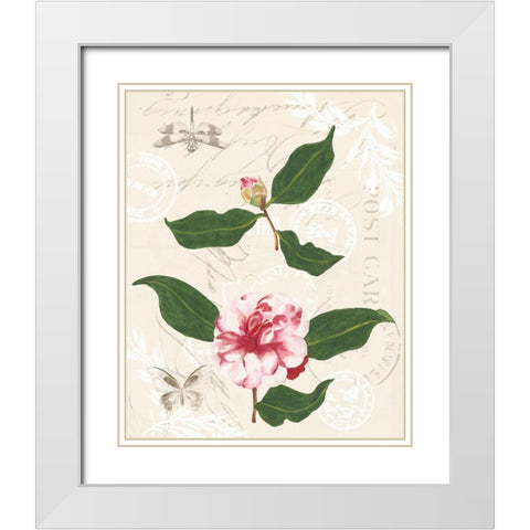 Diannes Camelias III White Modern Wood Framed Art Print with Double Matting by Miller, Dianne