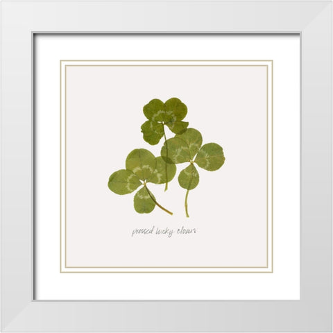 Pressed Clover II White Modern Wood Framed Art Print with Double Matting by Popp, Grace