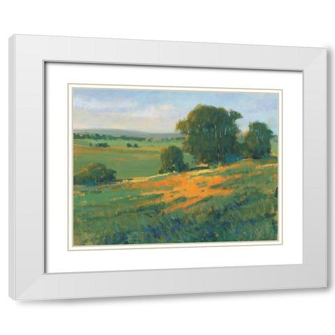 Poppy Fields II White Modern Wood Framed Art Print with Double Matting by OToole, Tim