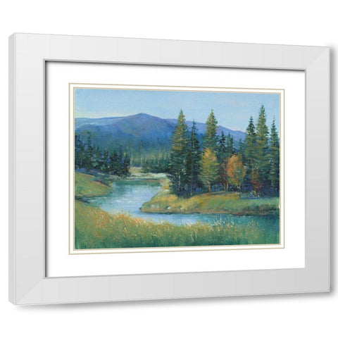 Trout Stream II White Modern Wood Framed Art Print with Double Matting by OToole, Tim
