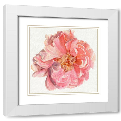 Blossomed Peony I White Modern Wood Framed Art Print with Double Matting by Parker, Jennifer Paxton