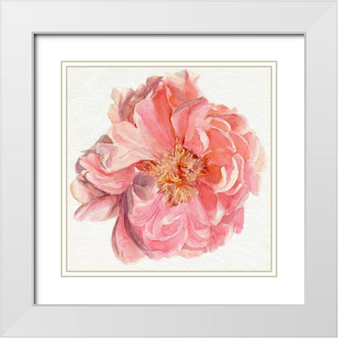Blossomed Peony I White Modern Wood Framed Art Print with Double Matting by Parker, Jennifer Paxton