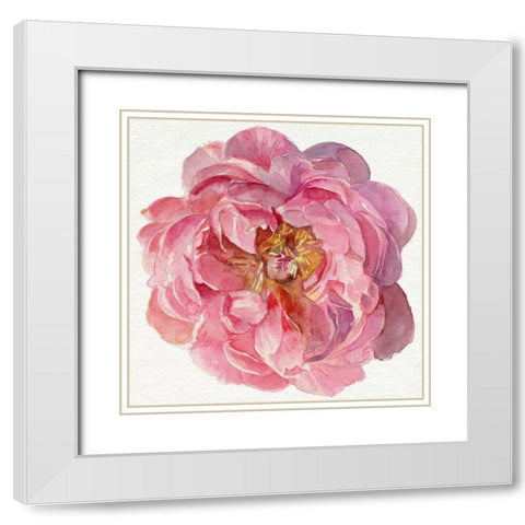 Blossomed Peony II White Modern Wood Framed Art Print with Double Matting by Parker, Jennifer Paxton