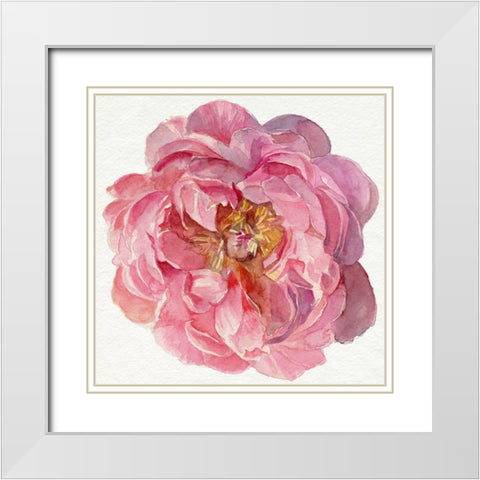 Blossomed Peony II White Modern Wood Framed Art Print with Double Matting by Parker, Jennifer Paxton
