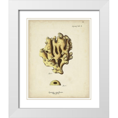 Ecru Coral X White Modern Wood Framed Art Print with Double Matting by Esper, Johann