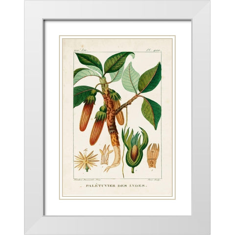 Turpin Foliage and Fruit I White Modern Wood Framed Art Print with Double Matting by Turpin