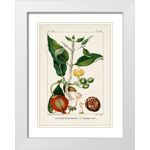 Turpin Foliage and Fruit III White Modern Wood Framed Art Print with Double Matting by Turpin