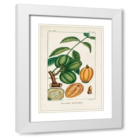 Turpin Foliage and Fruit IV White Modern Wood Framed Art Print with Double Matting by Turpin