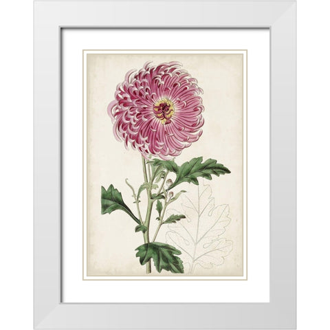 Garden Gems I White Modern Wood Framed Art Print with Double Matting by Curtis