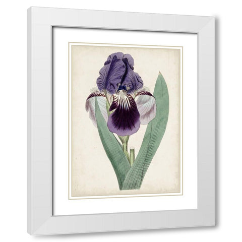Garden Gems VI White Modern Wood Framed Art Print with Double Matting by Curtis
