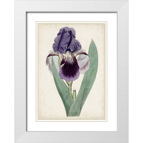 Garden Gems VI White Modern Wood Framed Art Print with Double Matting by Curtis