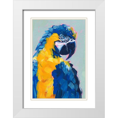 Pop Art Parrot II White Modern Wood Framed Art Print with Double Matting by Parker, Jennifer Paxton
