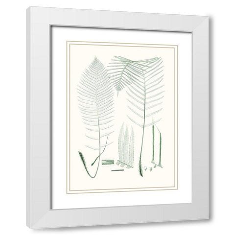 Verdure Ferns VII White Modern Wood Framed Art Print with Double Matting by Vision Studio