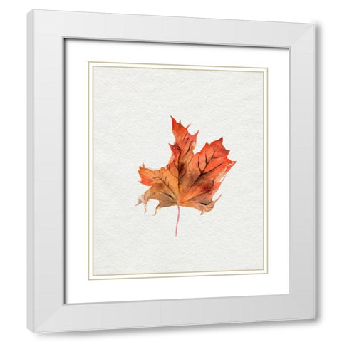 Watercolor Autumn Leaf II White Modern Wood Framed Art Print with Double Matting by Parker, Jennifer Paxton