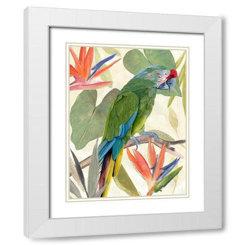 Tropical Parrot Composition I White Modern Wood Framed Art Print with Double Matting by Warren, Annie
