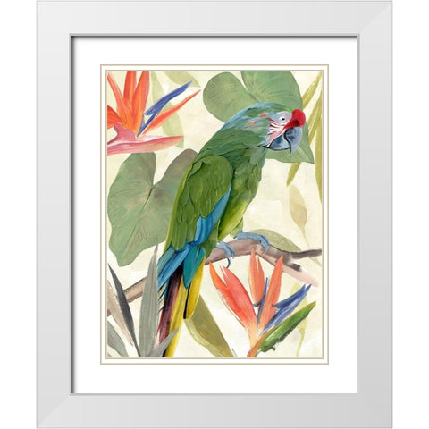 Tropical Parrot Composition I White Modern Wood Framed Art Print with Double Matting by Warren, Annie