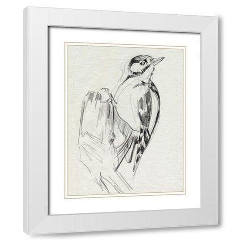 Woodpecker Sketch II White Modern Wood Framed Art Print with Double Matting by Parker, Jennifer Paxton